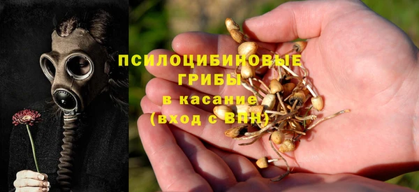 ECSTASY Алексин